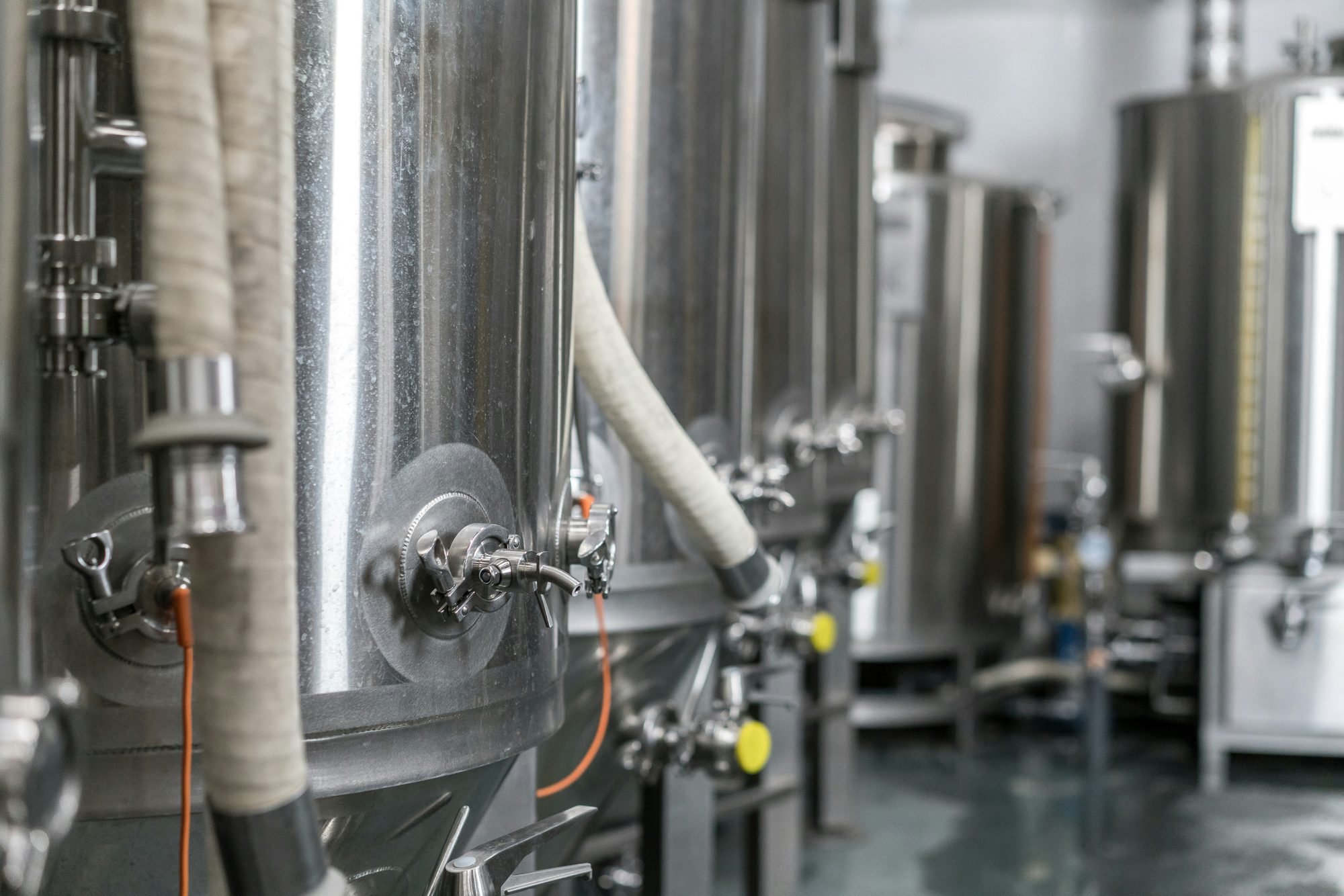Inside a modern craft brewery with steel fermentation tanks